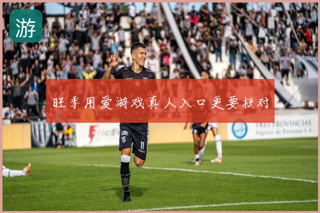 旺季用爱游戏真人入口更要核对
